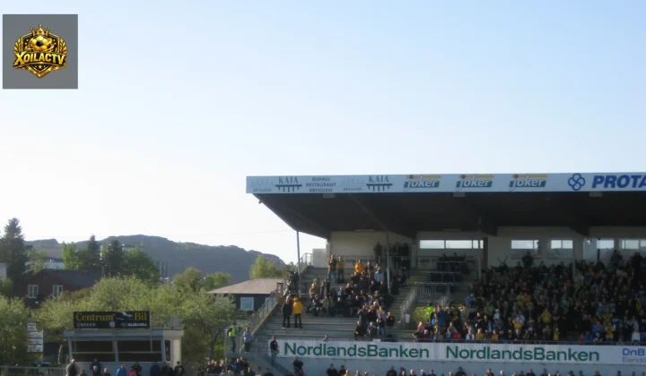 Ảnh tư liệu bóng đá Bodø/Glimt cho bài nhận định gặp Dortmund